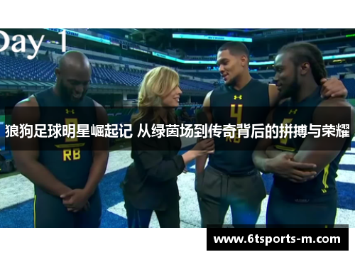 狼狗足球明星崛起记 从绿茵场到传奇背后的拼搏与荣耀